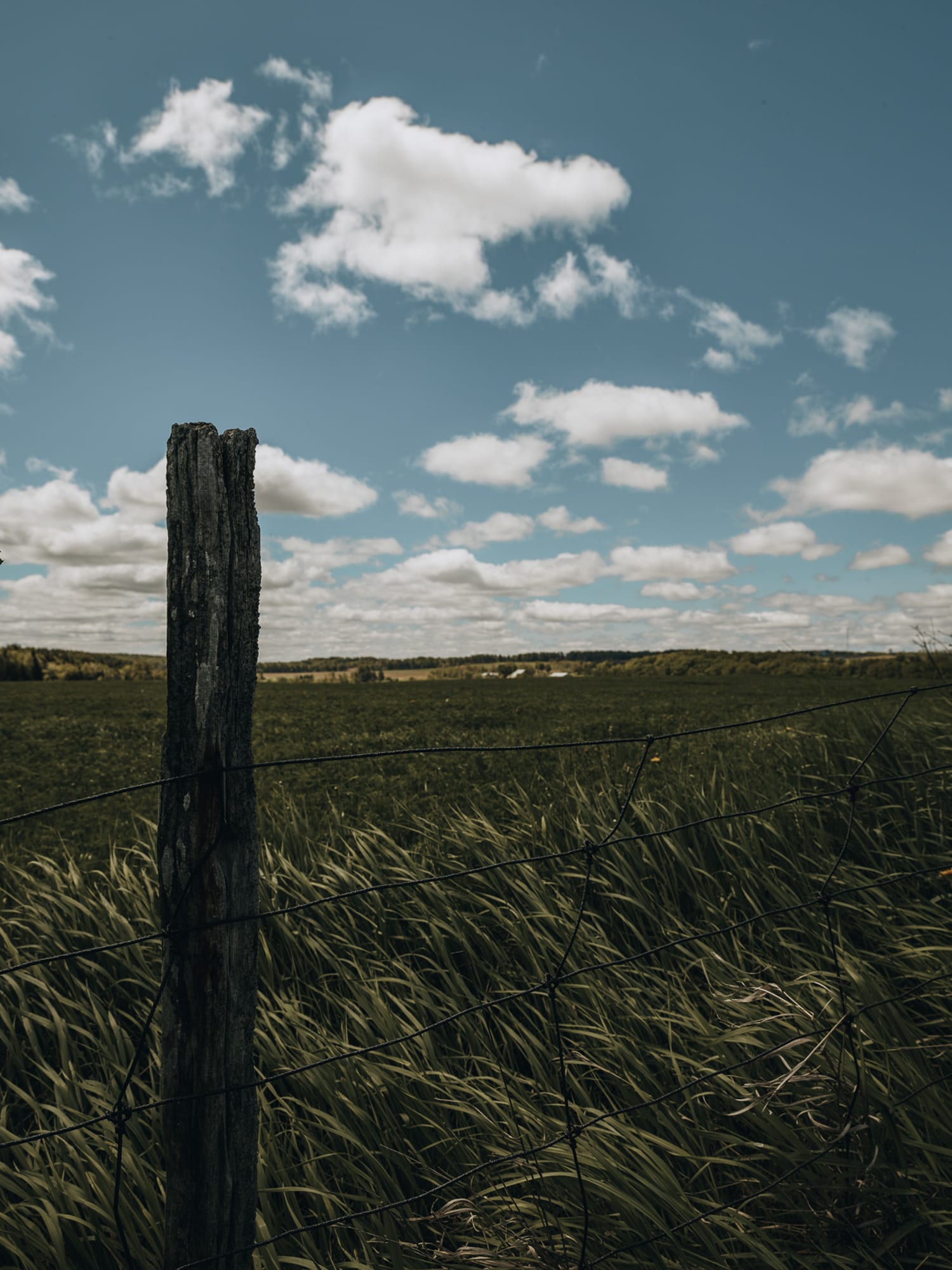 Rural 10