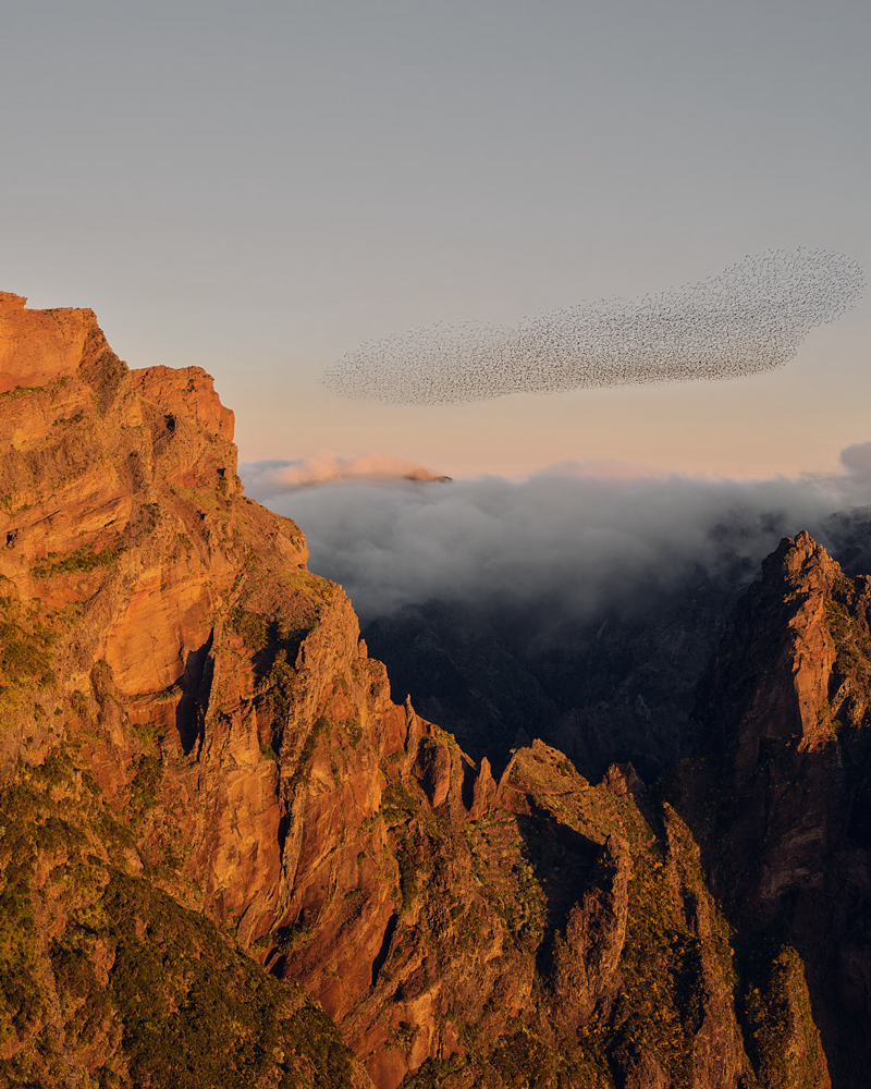 Madeira