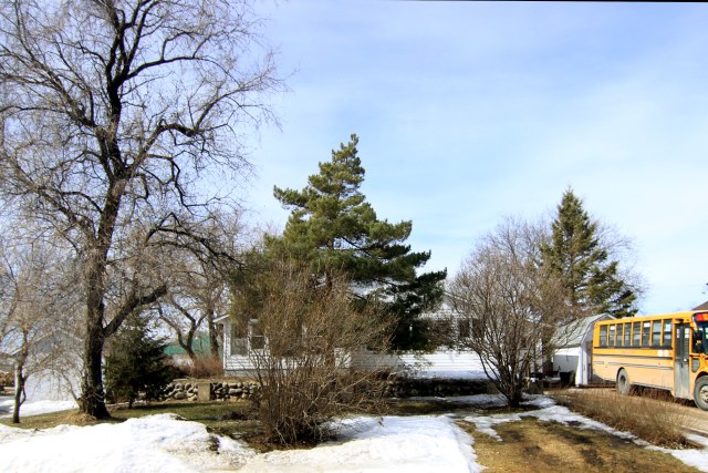 The house I grew up in