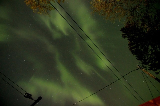 Aurora Borealis as seen from my back yard