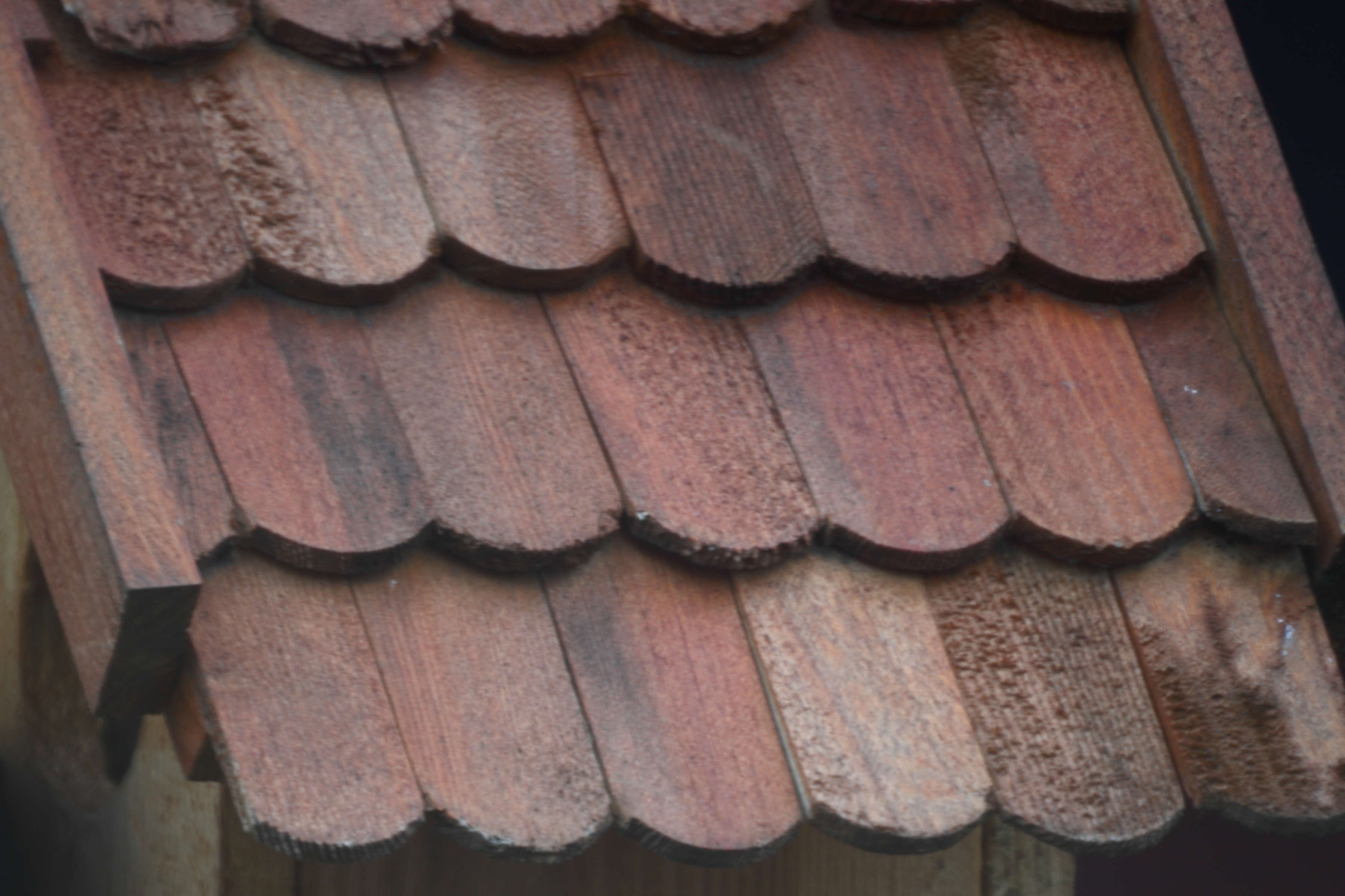 Original Zustand. Bereits unvergrößert ist zu erkennen, dass das gesamte Bild unscharf ist.