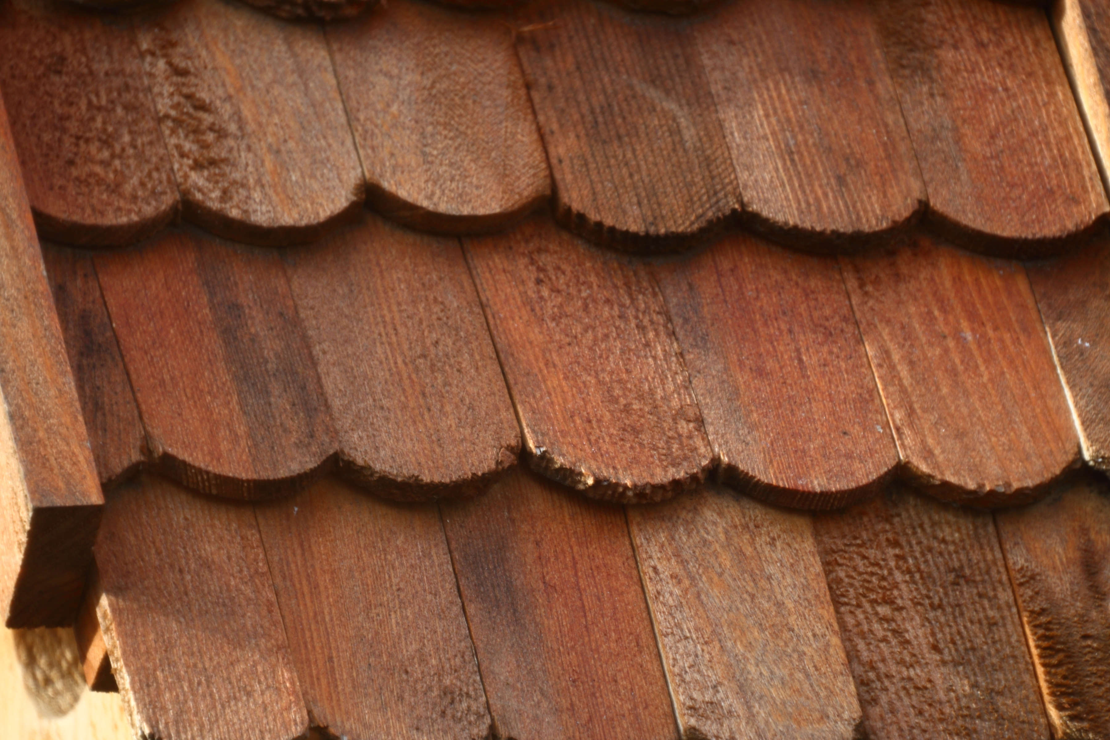 Nach der Lockerung der Schrauben und trotz des Verlustes der Kollimation, verbesserte sich die Schärfe bereits um ein Vielfaches!