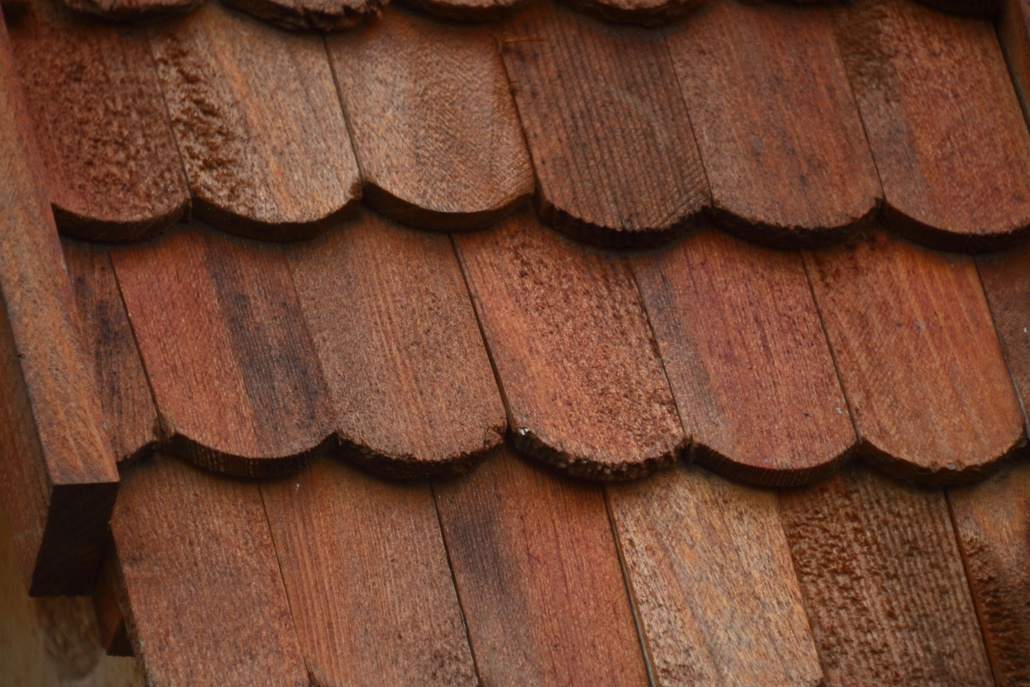 Nach der Re-Kollimierung, mit nun sehr sanft angezogenen Schrauben, zeigte sich erneut eine leichte Verbesserung der Schärfe