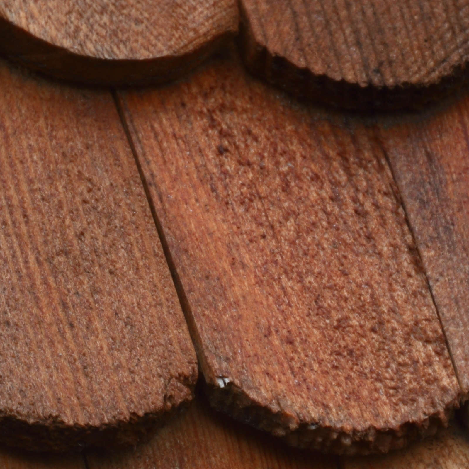 entspannt und kollimiert