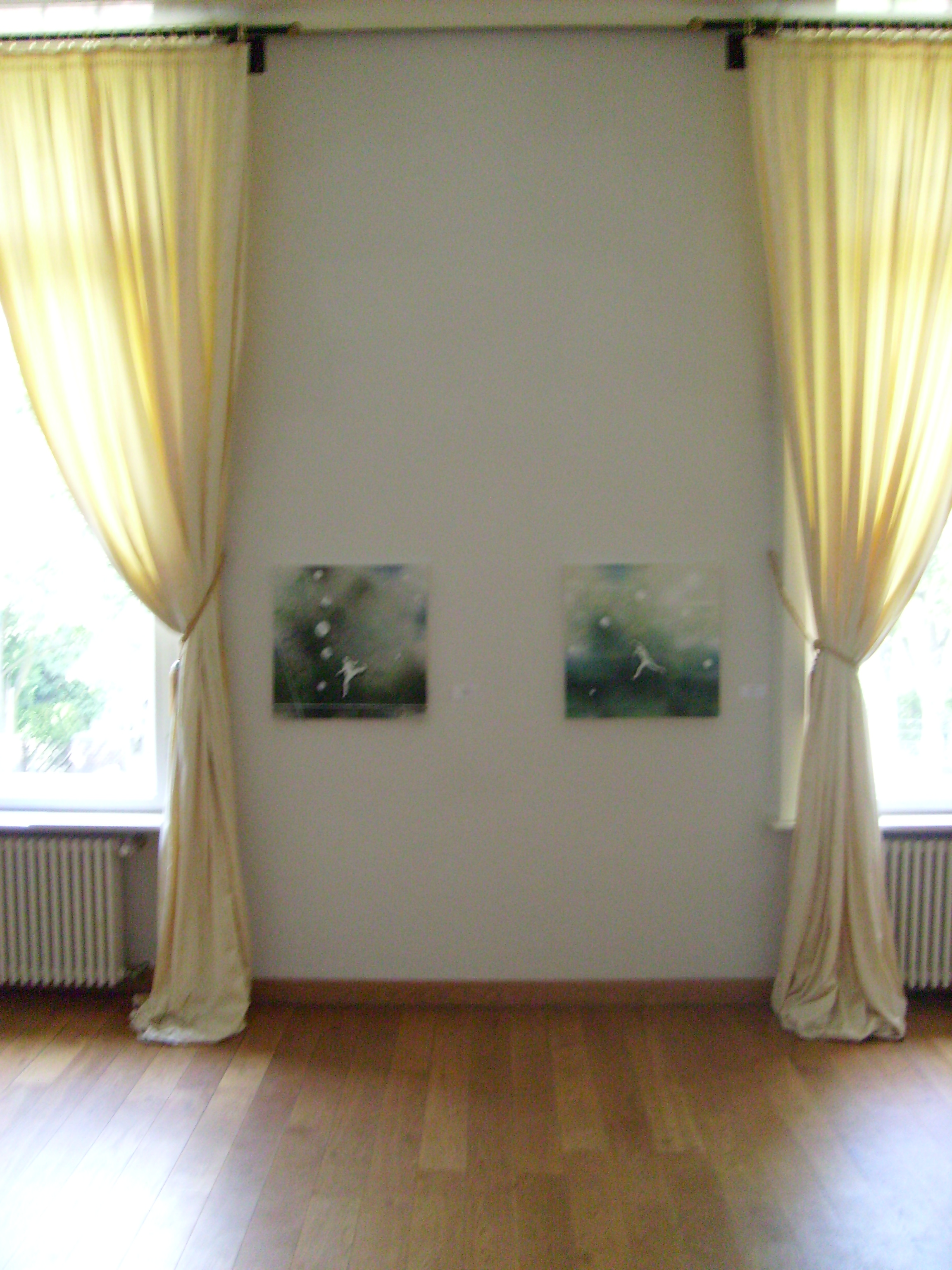 Starke Foundation, Berlin