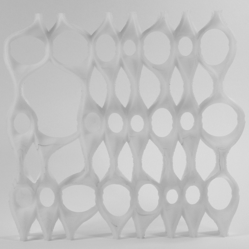 3D Print Study Model