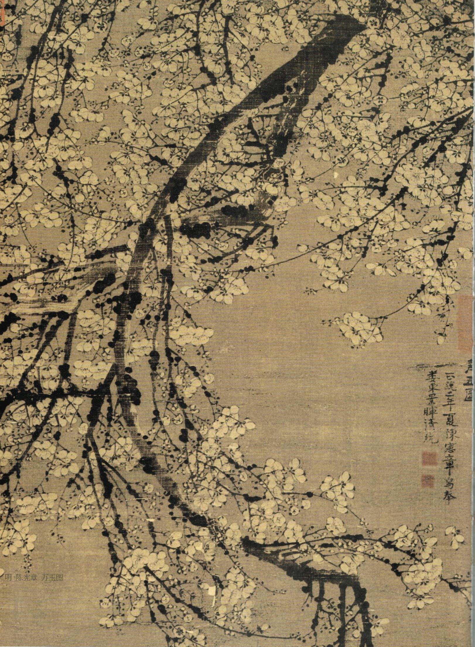 Plant – Plum Blossom Painting 梅| Patrick Siu Chinese Calligraphy