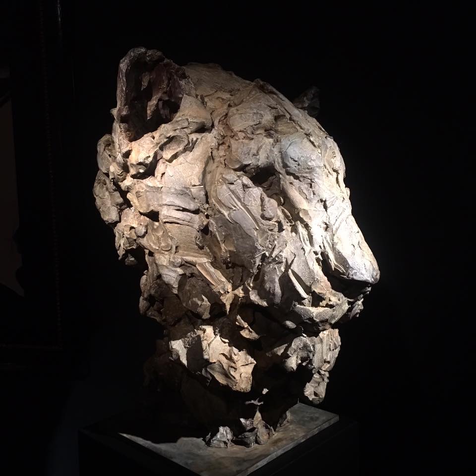 Lioness 63x50cm 1/8 ©2016