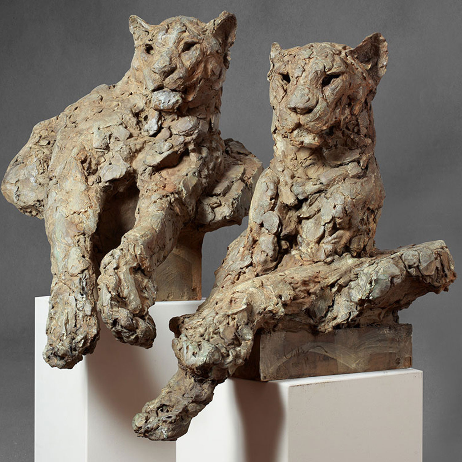 Leopards 60x60-60x51cm 1/8 ©2016 photo B.Meeùs