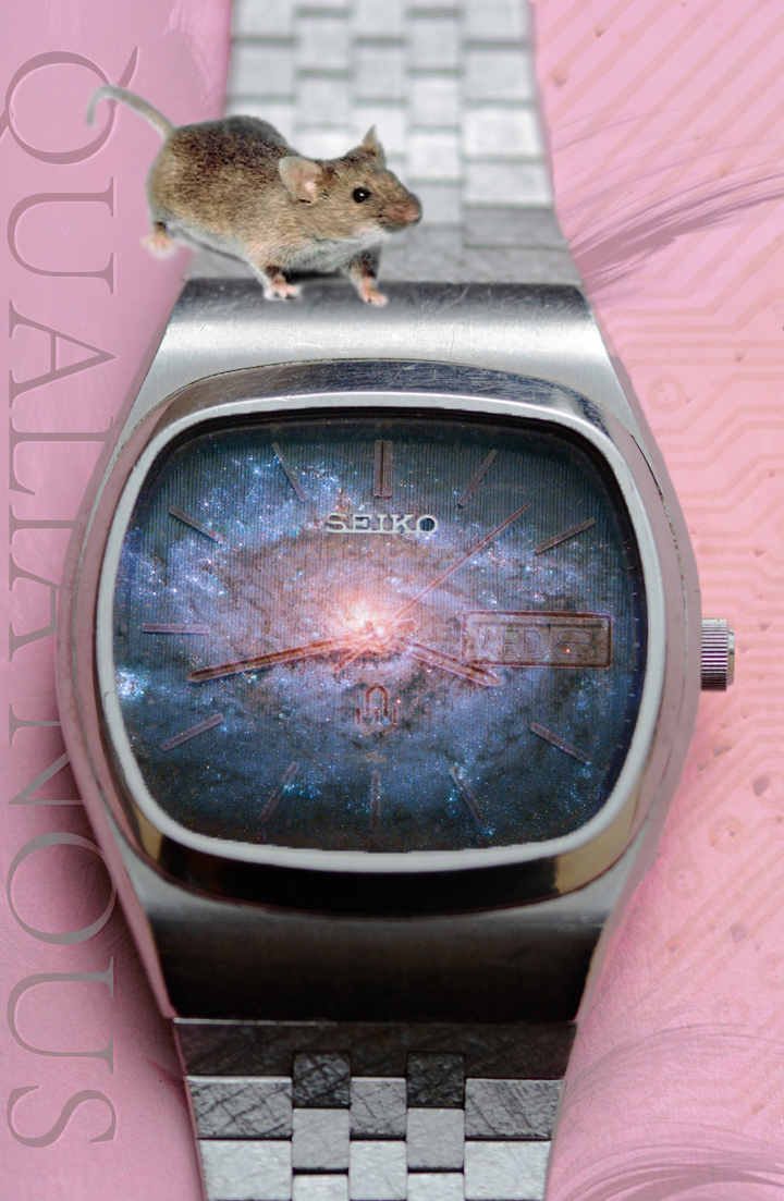 This had raised the terrible specter of the woman, discorporeal but somehow still sentient, screaming in limbo . . . forever