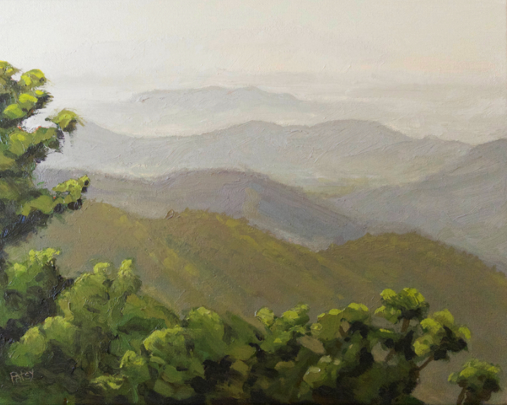 A Hazy Day in Shenandoah