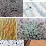 Designing Home D Cor Patterns Pattern Observer - Stunning HD Ocean Textures | Free Download