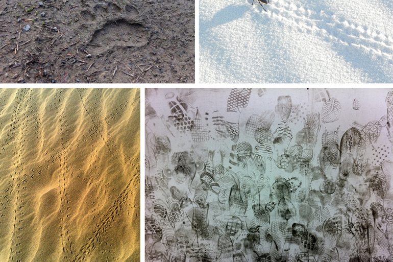 Found Patterns Bicycles Pattern Observer - Sunset Images - Perfect High Resolution Collection