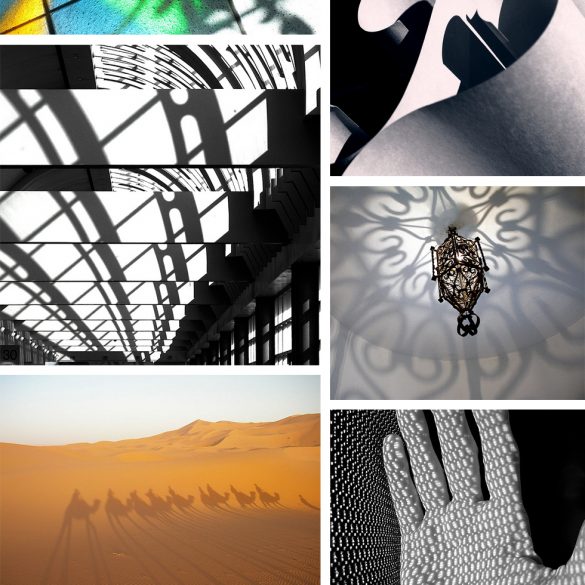 Found Patterns Spiderwebs Pattern Observer - Nature Background Collection - Ultra HD Quality