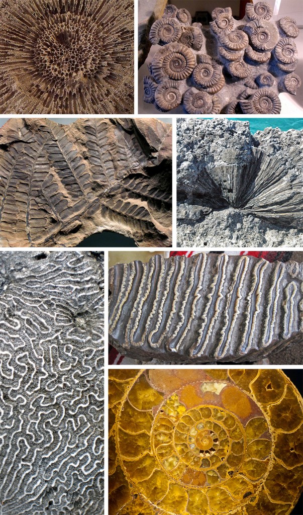 Found Patterns The Science Around Us Pattern Observer - Premium Light Texture Gallery - Ultra HD