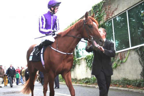 Australia leaving the paddock prior to winning the Breeder's Cup Juvenile Turf Trial Stakes At Leopardstown