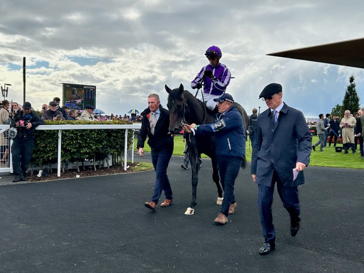 A racehorse being led by two handlers in a bustling racetrack area, with a jockey in purple racing silks atop the horse. Spectators watch from the sidelines, and a digital scoreboard is visible in the background.