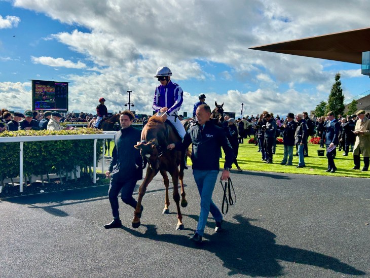 A racehorse being led by two people in a paddock area, with a crowd of spectators and a large scoreboard in the background on a bright, partly cloudy day.