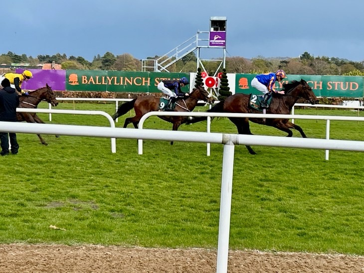 Two racehorses galloping on a grassy racetrack with jockeys in colourful silks. A spectator in black is visible in the foreground, while a grandstand and banners can be seen in the background.