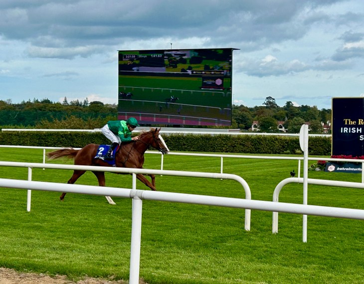 A horse and rider in green attire racing on a turf track, with a large scoreboard displaying race information in the background.