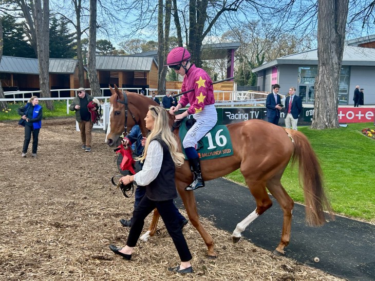 A jockey in a pink and maroon outfit with stars riding a chestnut horse, accompanied by a handler, in a horse racing paddock with spectators in the background.