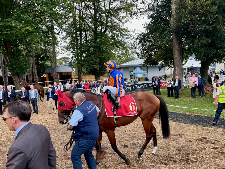 A jockey in a blue and orange uniform riding a horse, accompanied by handlers in a racing environment with spectators in the background.