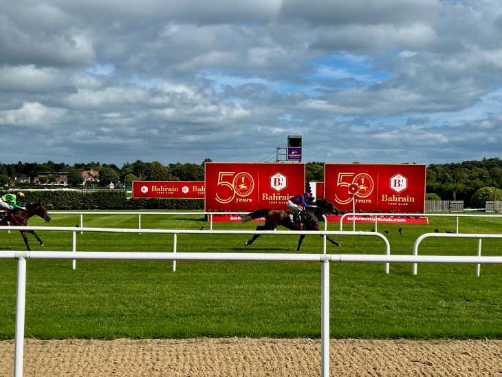 A horse racing event at Bahrain Turf Club, featuring a horse in full stride with a jockey in blue and red, while another horse in green is seen in the background. The scene is set against a backdrop of banners celebrating 50 years of the turf club under a cloudy sky.