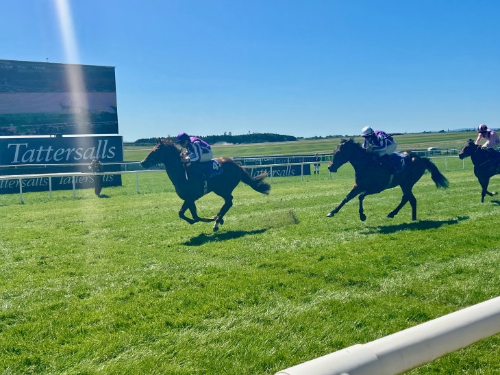 A horse race taking place on a sunny day, with two horses in the lead running on a lush green track at Tattersalls.