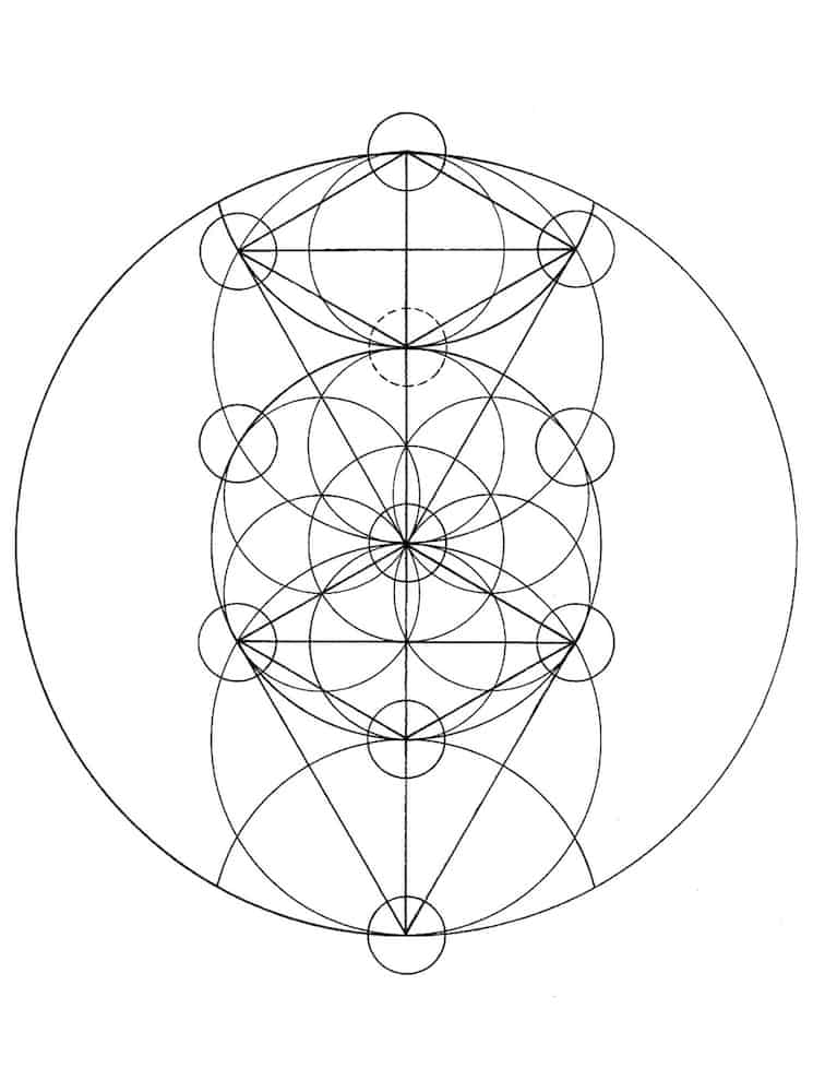 The Tree Of Life Patterns Of Creation - Professional Vintage Image - Mobile