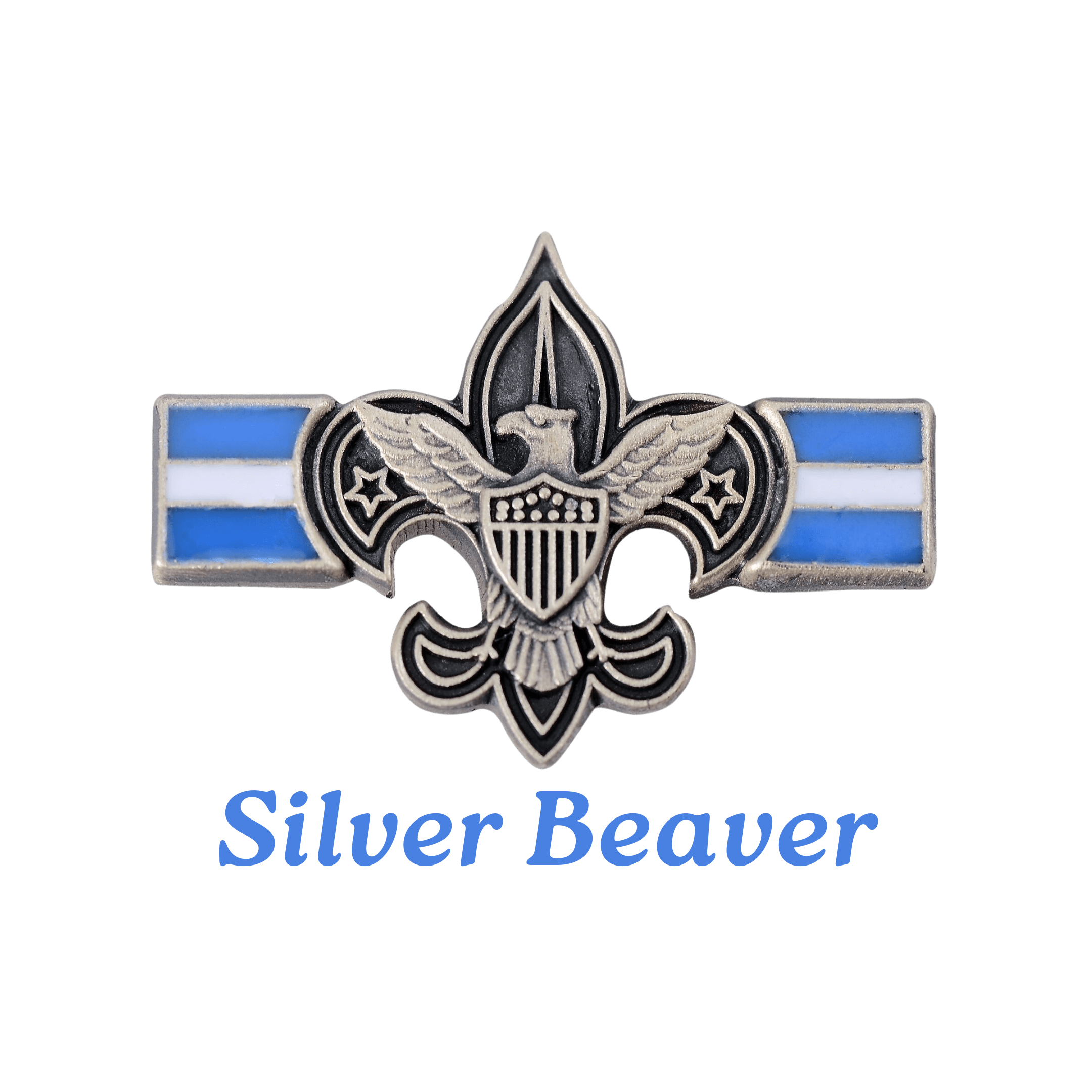 Ross Patterson was granted the Silver Beaver Award