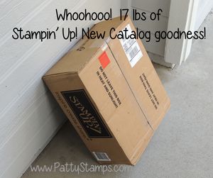 New Catalog Sneak Peek and 2015 2017 In Color Review