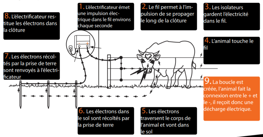 Comprendre Le Fonctionnement D Une Cloture Electrique Paturevision Fr