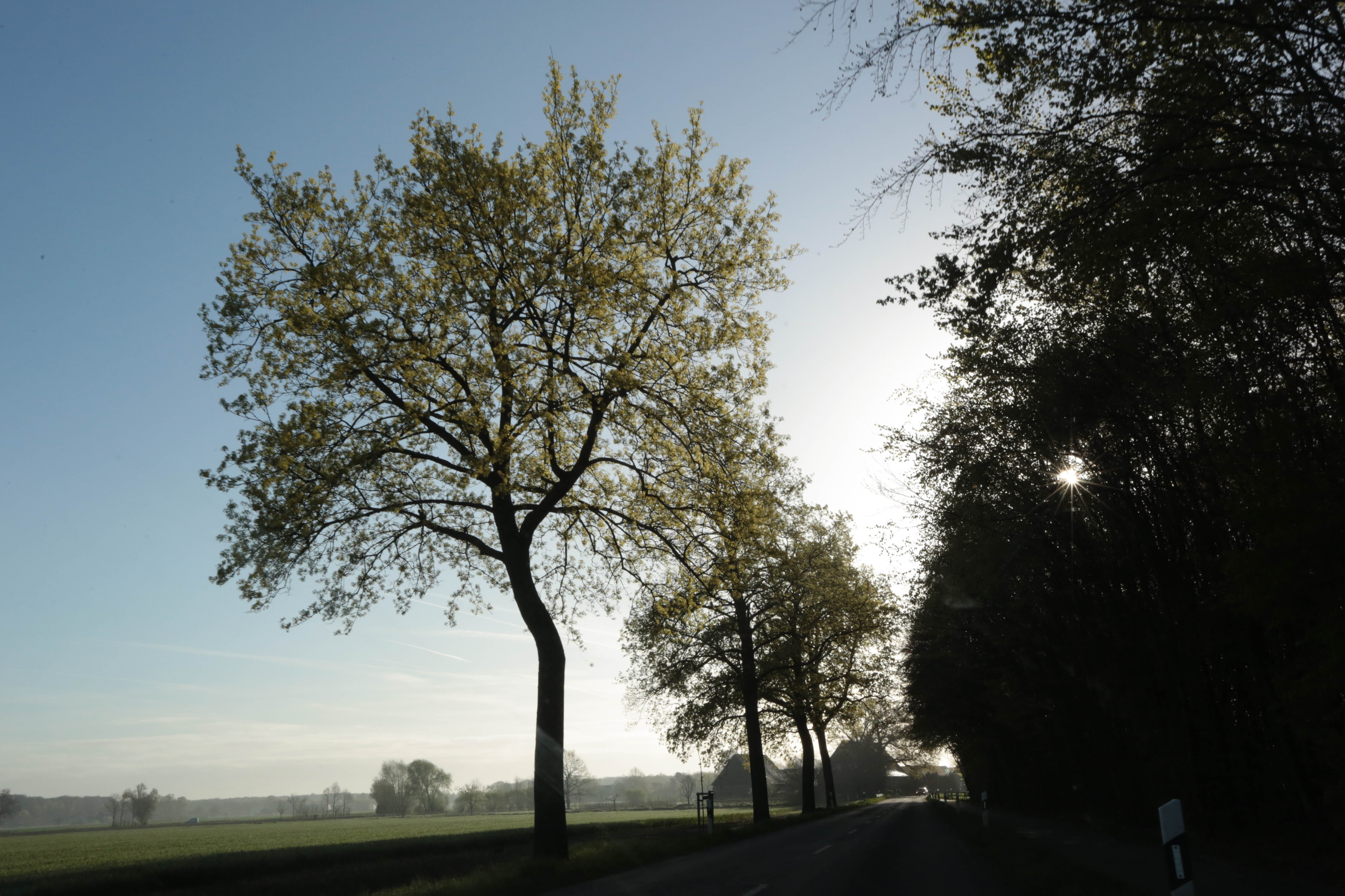 Die Sonne geht auf in Lüdinghausen