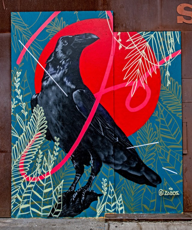 PHOTO-1-UNTITLED-crow.jpeg?fit