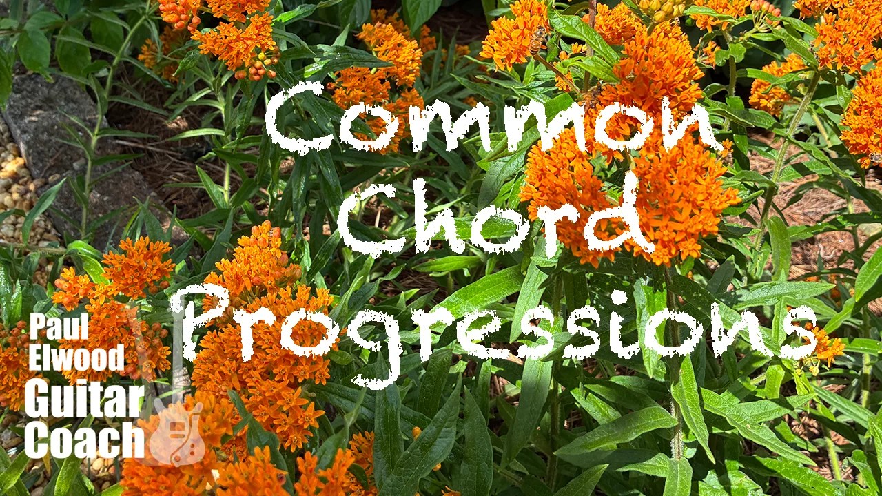 common chord progressions