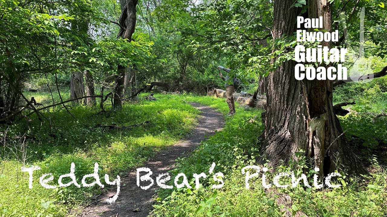 teddy bears picnic