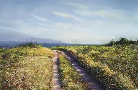 Coast Trail
