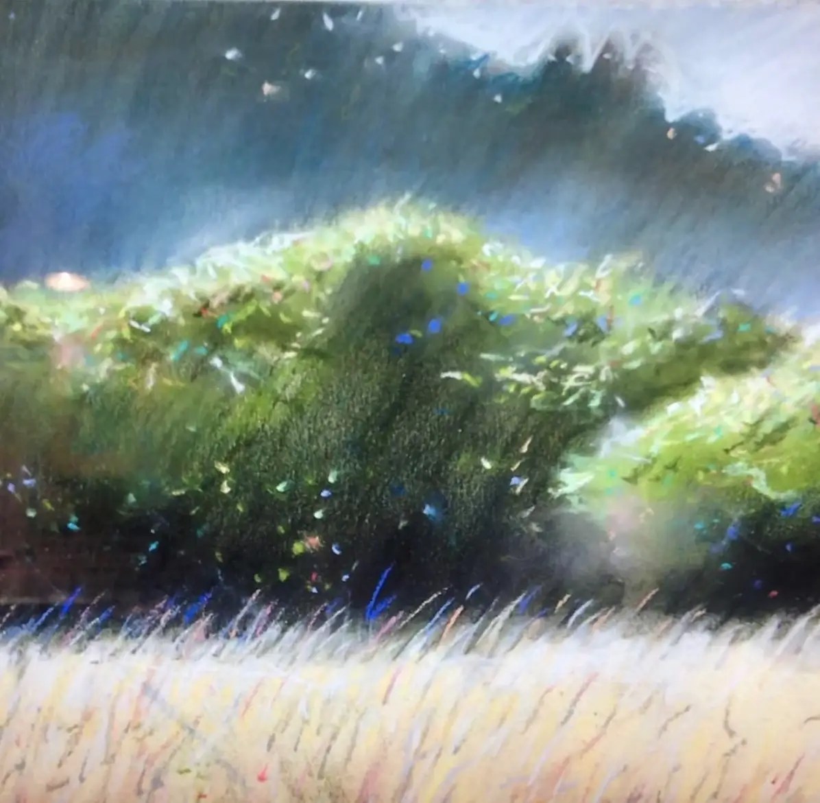 The Meadow