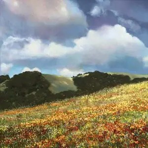Wilder Poppies