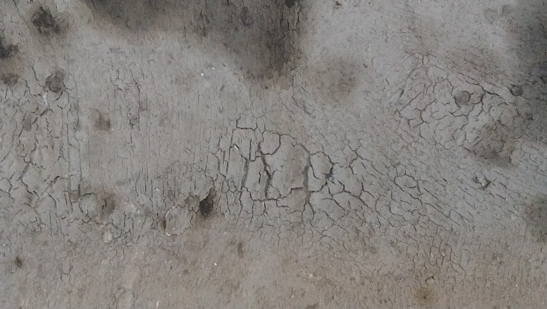 serie Lost sea, Waddenklei, afgewerkte olie op papier