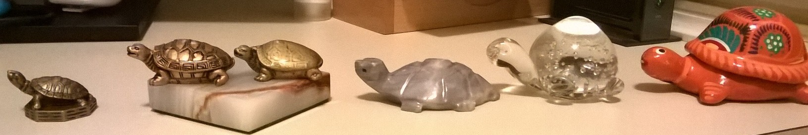 Turtles, clear