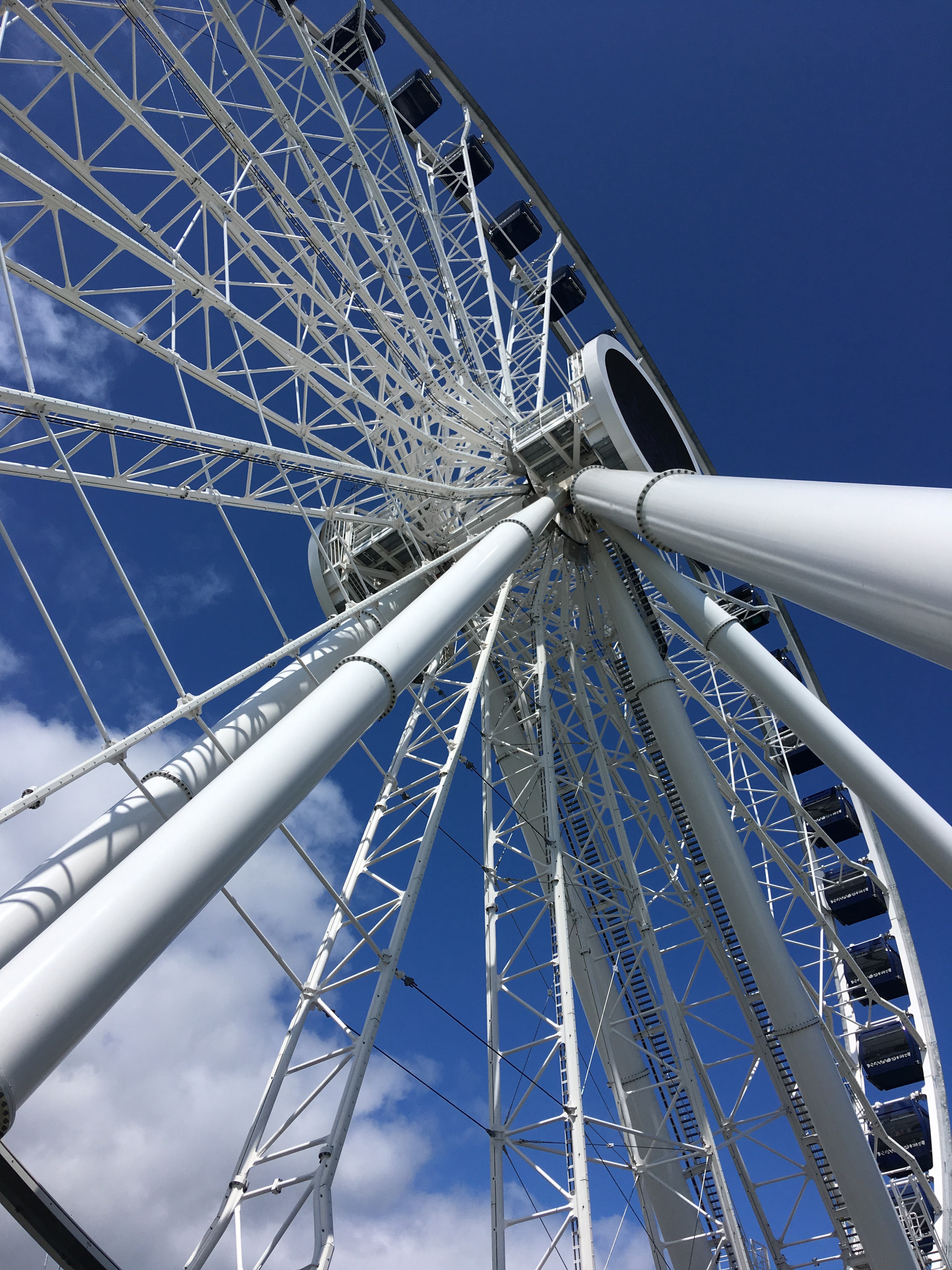 Chicago Navy Pier Ferris Wheel