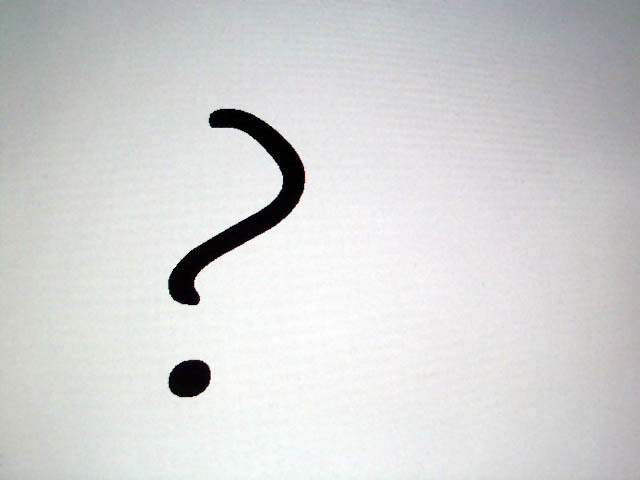 The four why’s of Sam Palmisano