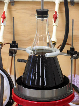 Theoretical Maximum Specific Gravity Pavement Interactive