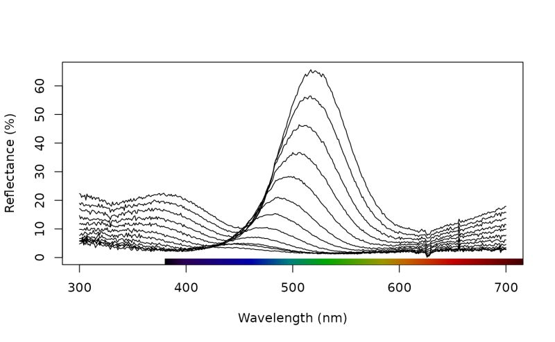 Spectraplot - 4K Ocean Images for Desktop