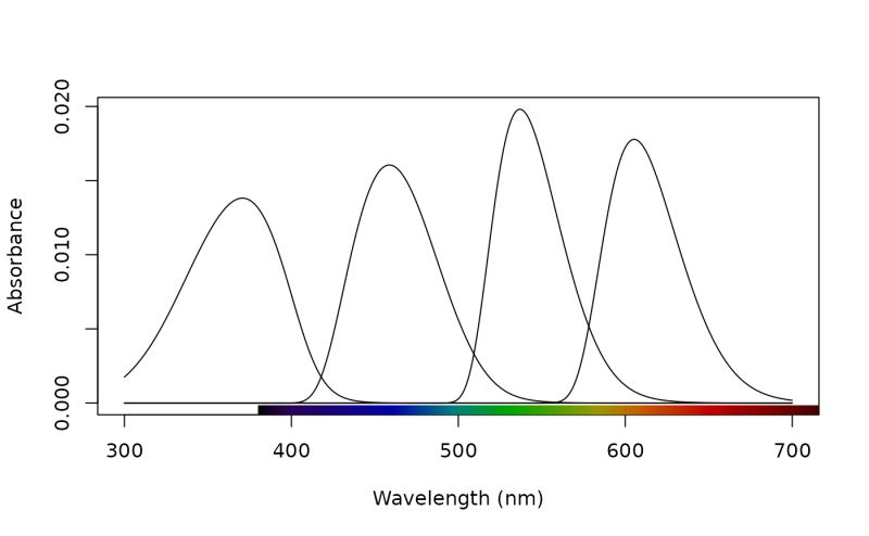 Cie Plot Cieplot Pavo - Best Minimal Photos in Retina