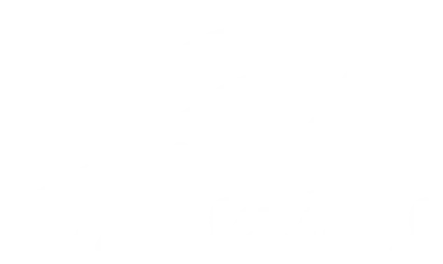 transitions