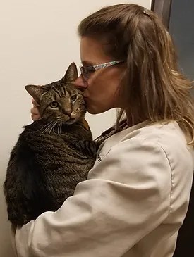 Veterinarian in lambertville, mi