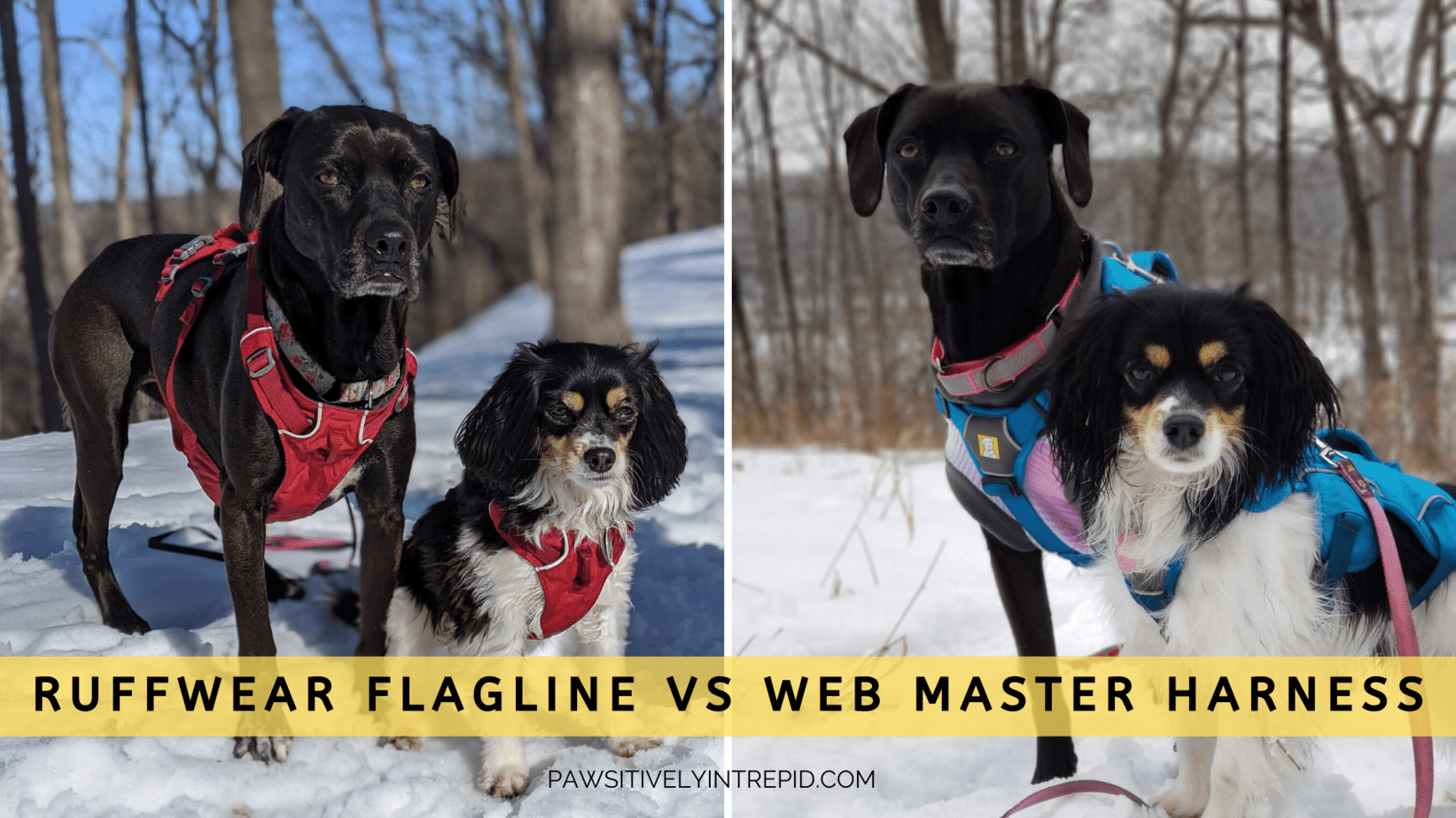ruffwear flagline