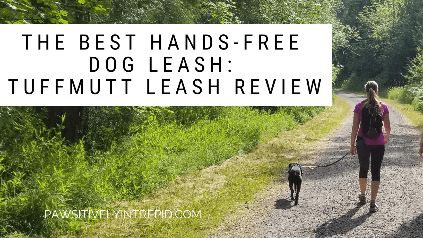 tuff mutt running leash